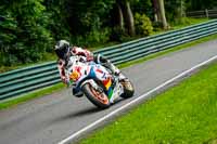 cadwell-no-limits-trackday;cadwell-park;cadwell-park-photographs;cadwell-trackday-photographs;enduro-digital-images;event-digital-images;eventdigitalimages;no-limits-trackdays;peter-wileman-photography;racing-digital-images;trackday-digital-images;trackday-photos